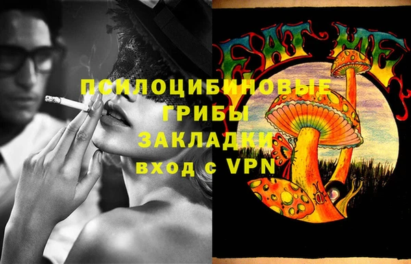 ГАЛЛЮЦИНОГЕННЫЕ ГРИБЫ Ступино
