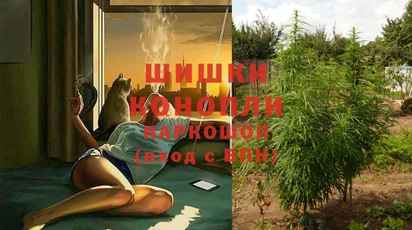 ГАЛЛЮЦИНОГЕННЫЕ ГРИБЫ Ступино